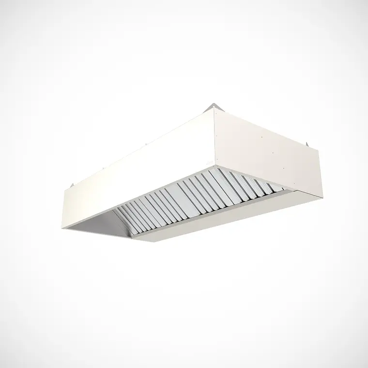760 - 2026-06-25T194623.333 Campana de Extracción Maigas 6ED10 con Extractor 250 × 100 cm - Imagen 1